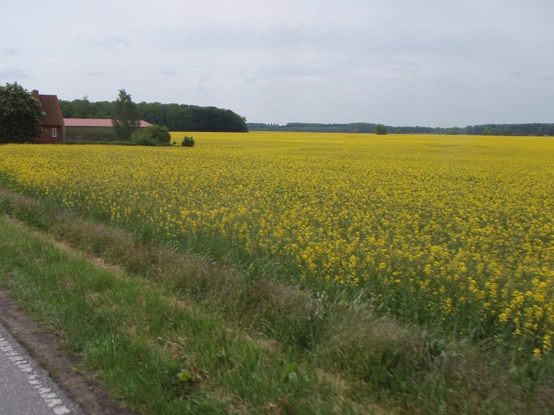 Bad Schwartau 211